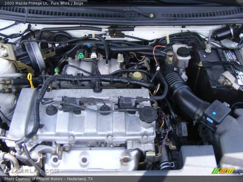 Pure White / Beige 2003 Mazda Protege LX