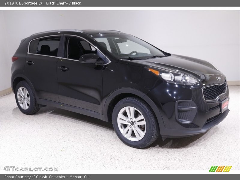 Black Cherry / Black 2019 Kia Sportage LX