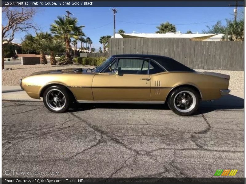 Signet Gold / Black 1967 Pontiac Firebird Coupe