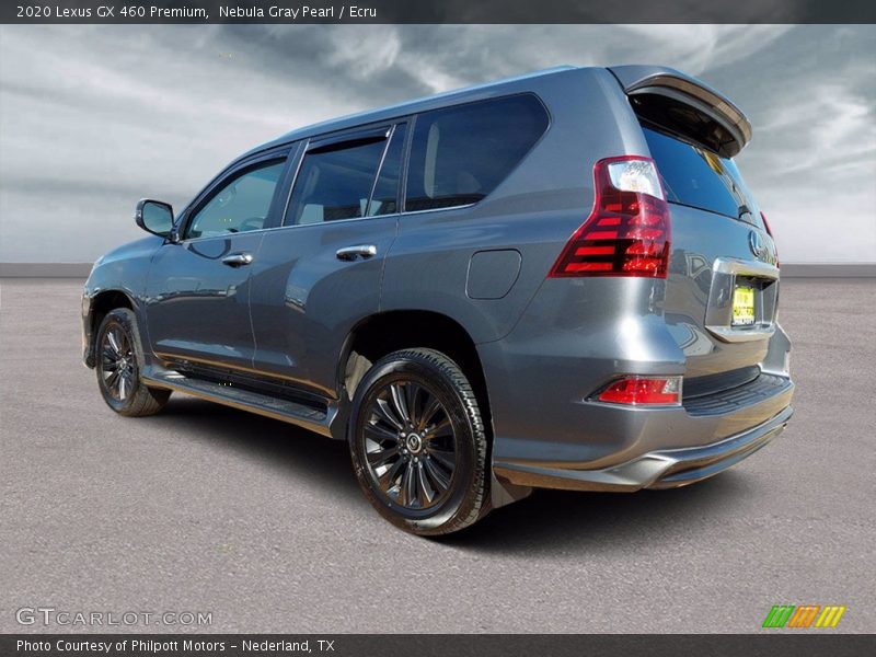 Nebula Gray Pearl / Ecru 2020 Lexus GX 460 Premium