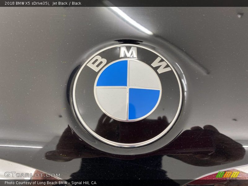 Jet Black / Black 2018 BMW X5 sDrive35i