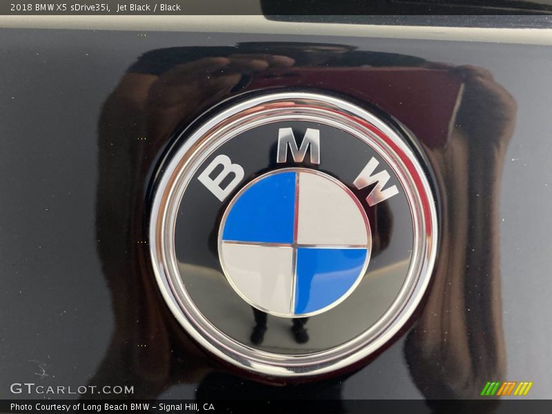 Jet Black / Black 2018 BMW X5 sDrive35i