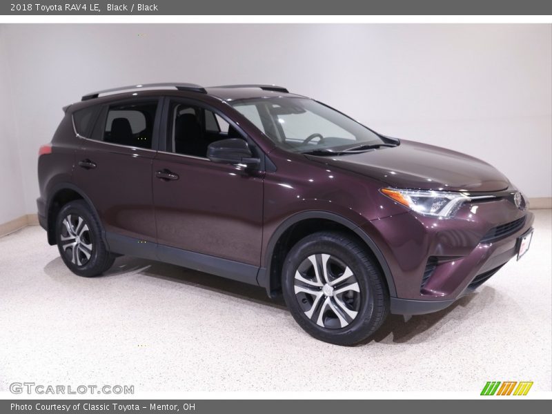 Black / Black 2018 Toyota RAV4 LE