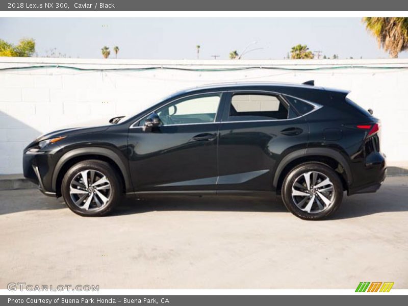  2018 NX 300 Caviar