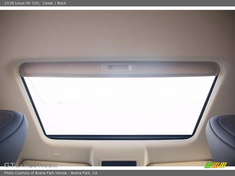 Sunroof of 2018 NX 300
