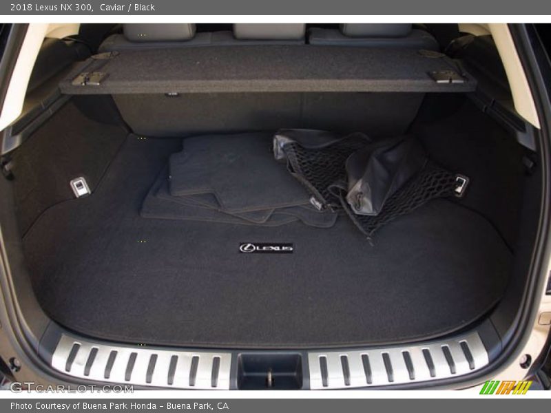  2018 NX 300 Trunk
