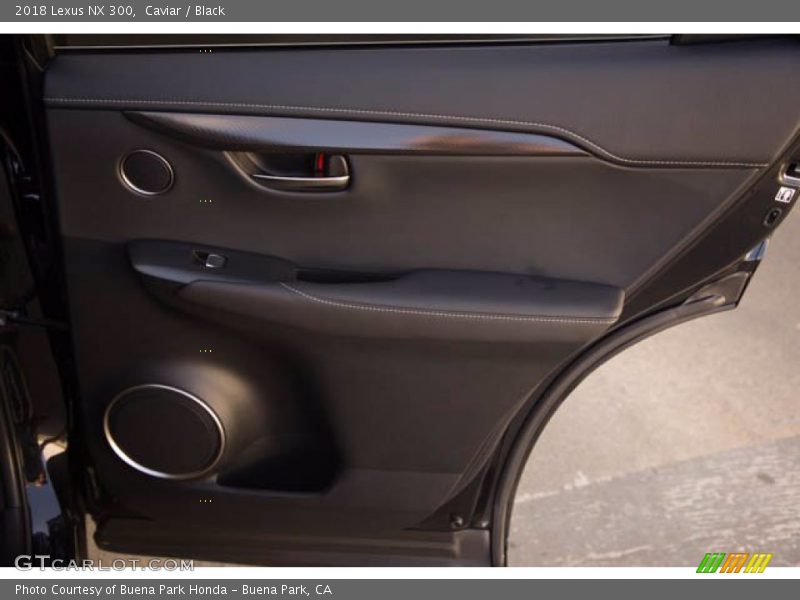 Door Panel of 2018 NX 300