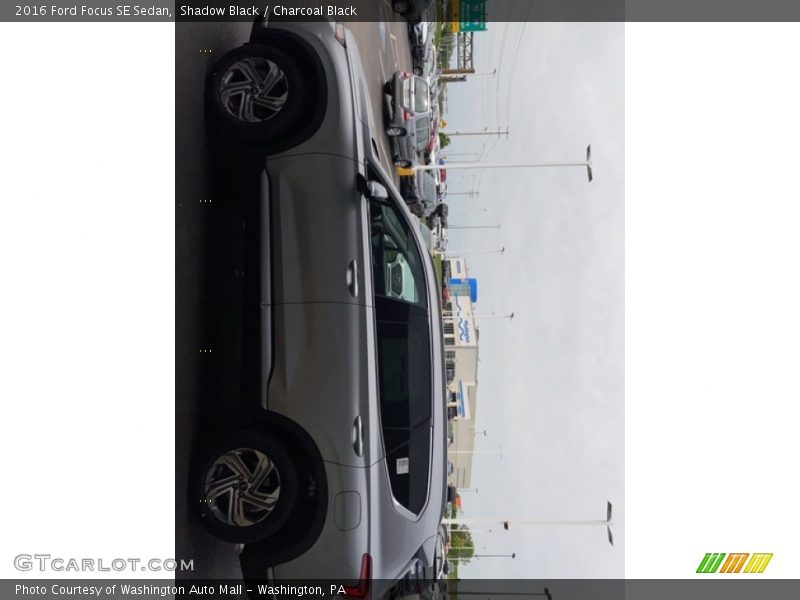 Shadow Black / Charcoal Black 2016 Ford Focus SE Sedan