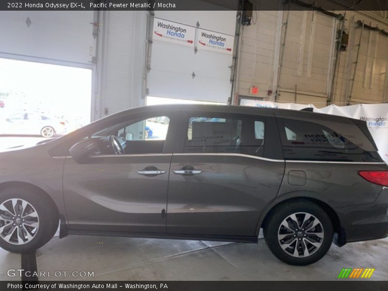 Pacific Pewter Metallic / Mocha 2022 Honda Odyssey EX-L