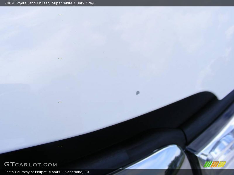 Super White / Dark Gray 2009 Toyota Land Cruiser