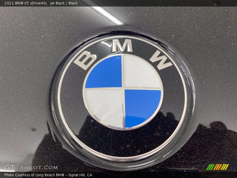 Jet Black / Black 2021 BMW X5 sDrive40i