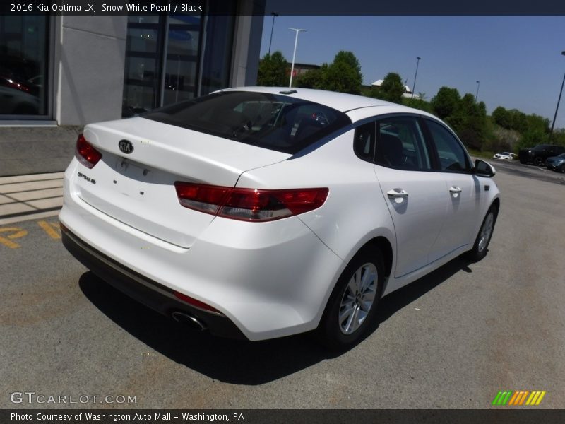 Snow White Pearl / Black 2016 Kia Optima LX