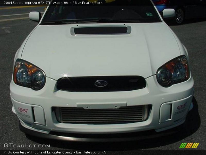 Aspen White / Blue Ecsaine/Black 2004 Subaru Impreza WRX STi