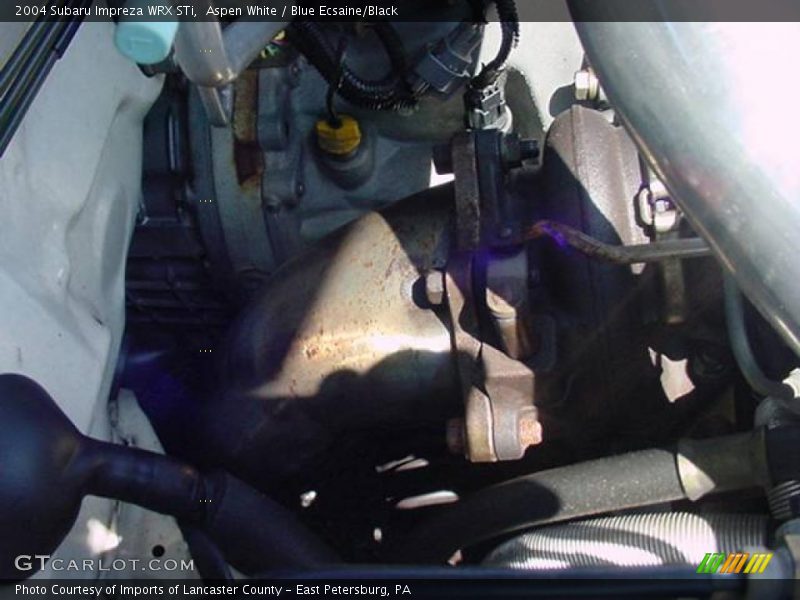 Aspen White / Blue Ecsaine/Black 2004 Subaru Impreza WRX STi