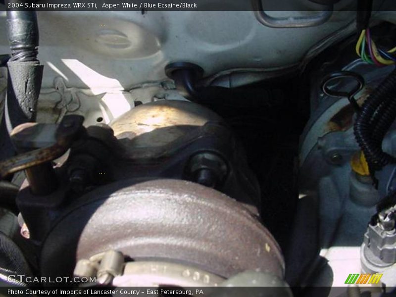 Aspen White / Blue Ecsaine/Black 2004 Subaru Impreza WRX STi