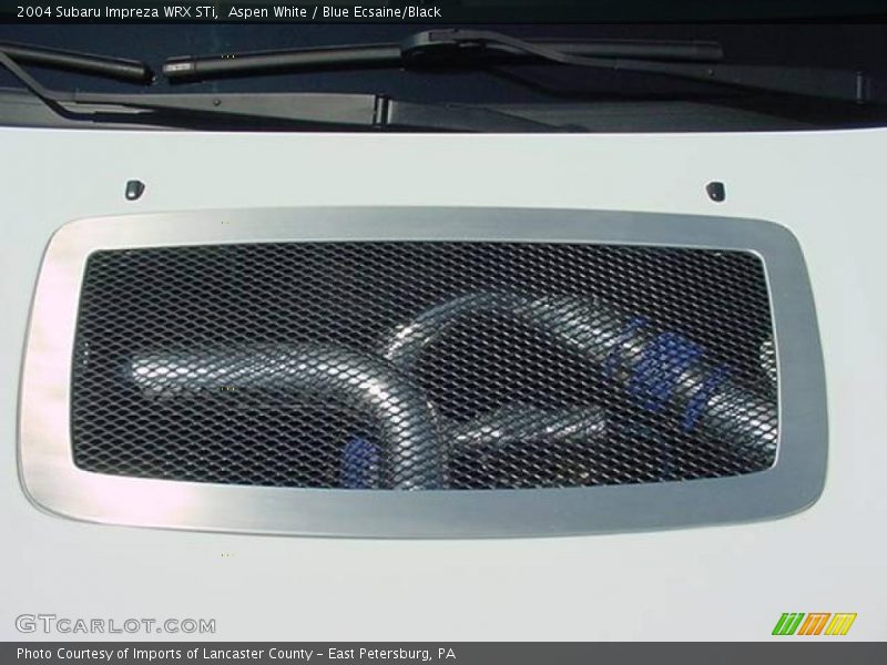 Aspen White / Blue Ecsaine/Black 2004 Subaru Impreza WRX STi