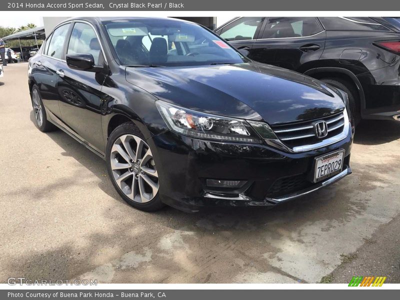 Crystal Black Pearl / Black 2014 Honda Accord Sport Sedan