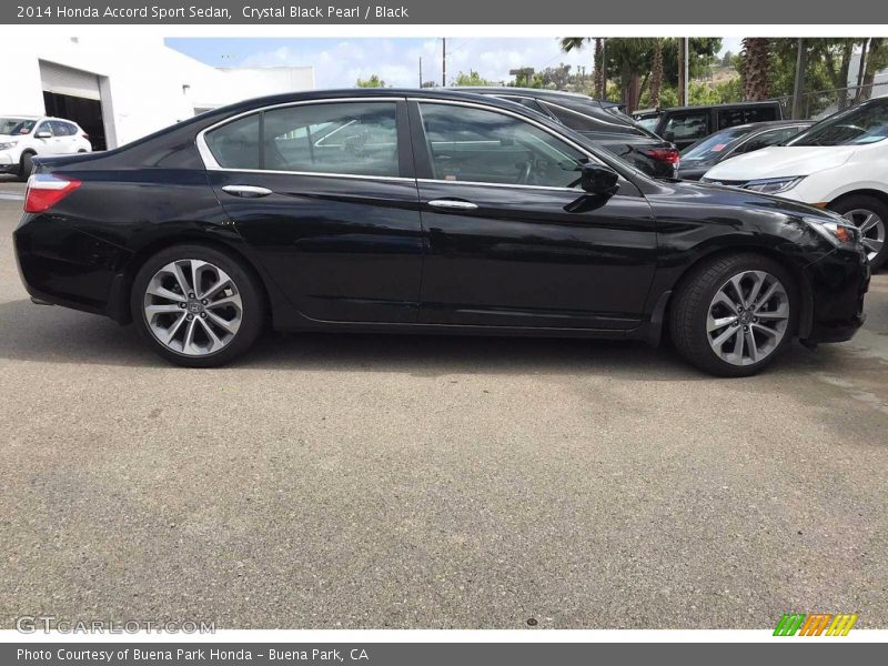 Crystal Black Pearl / Black 2014 Honda Accord Sport Sedan