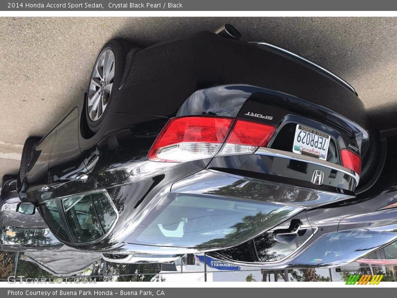 Crystal Black Pearl / Black 2014 Honda Accord Sport Sedan