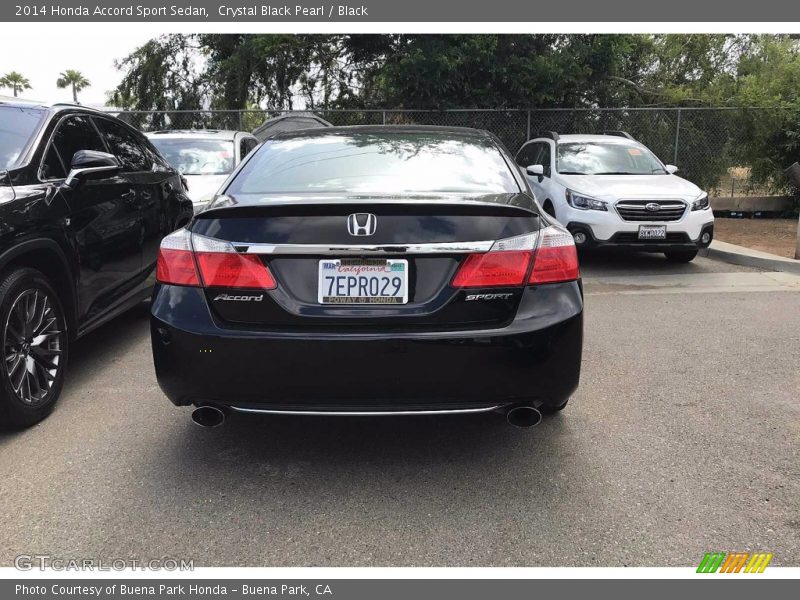 Crystal Black Pearl / Black 2014 Honda Accord Sport Sedan