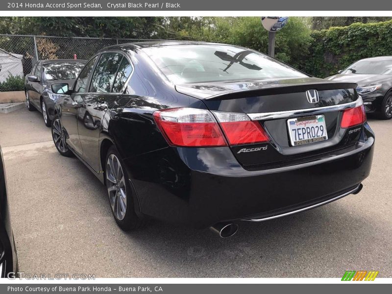 Crystal Black Pearl / Black 2014 Honda Accord Sport Sedan