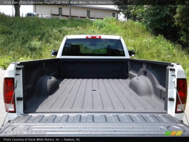 Bright White / Black/Diesel Gray 2018 Ram 2500 Tradesman Regular Cab 4x4