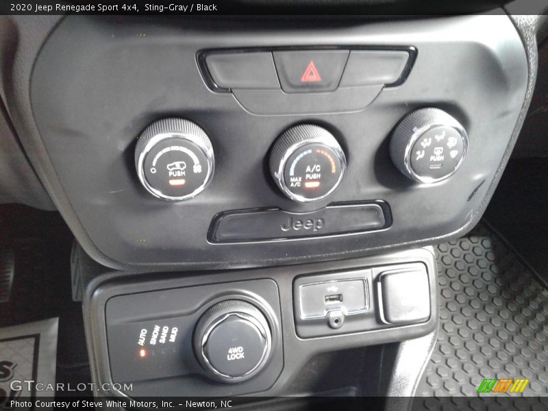 Sting-Gray / Black 2020 Jeep Renegade Sport 4x4