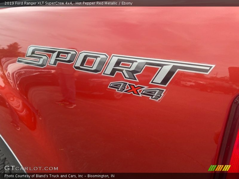 Hot Pepper Red Metallic / Ebony 2019 Ford Ranger XLT SuperCrew 4x4