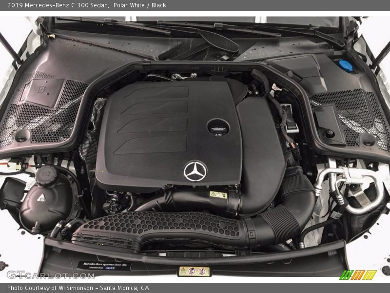 Polar White / Black 2019 Mercedes-Benz C 300 Sedan