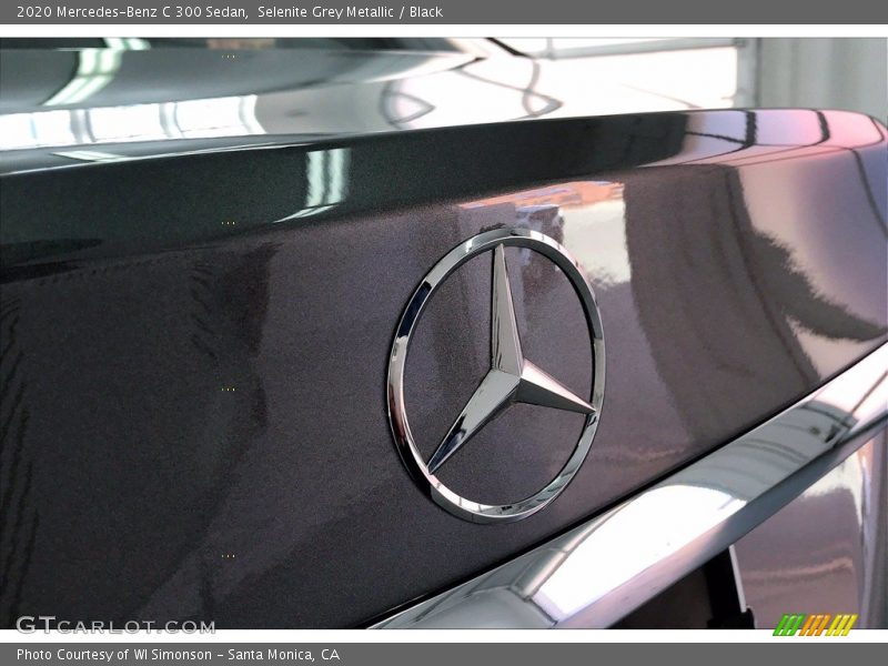 Selenite Grey Metallic / Black 2020 Mercedes-Benz C 300 Sedan