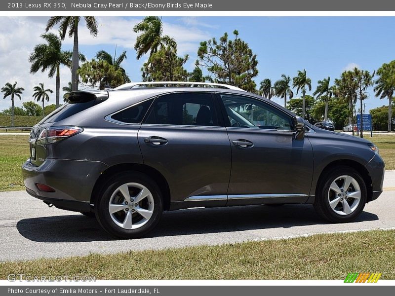  2013 RX 350 Nebula Gray Pearl