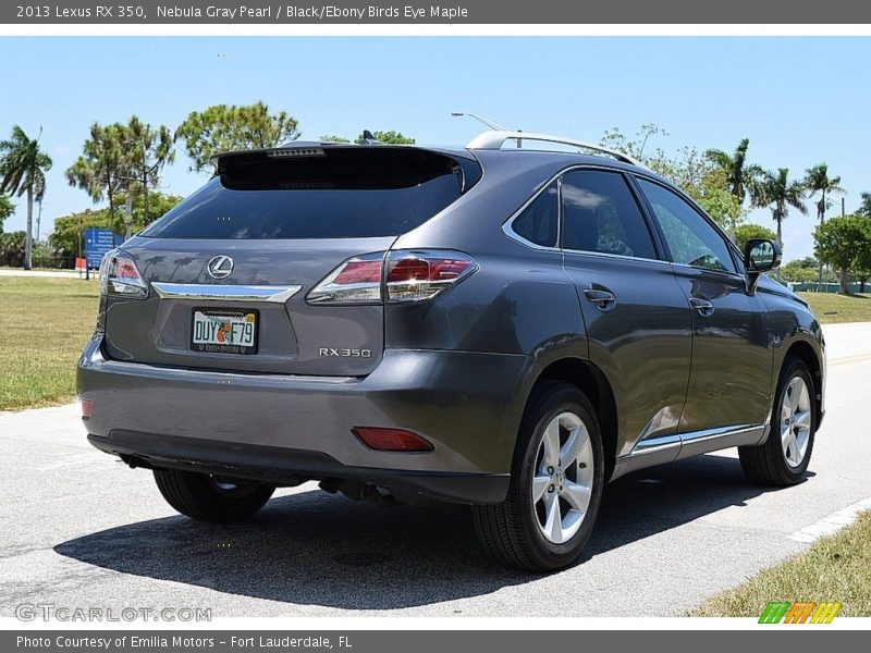 Nebula Gray Pearl / Black/Ebony Birds Eye Maple 2013 Lexus RX 350