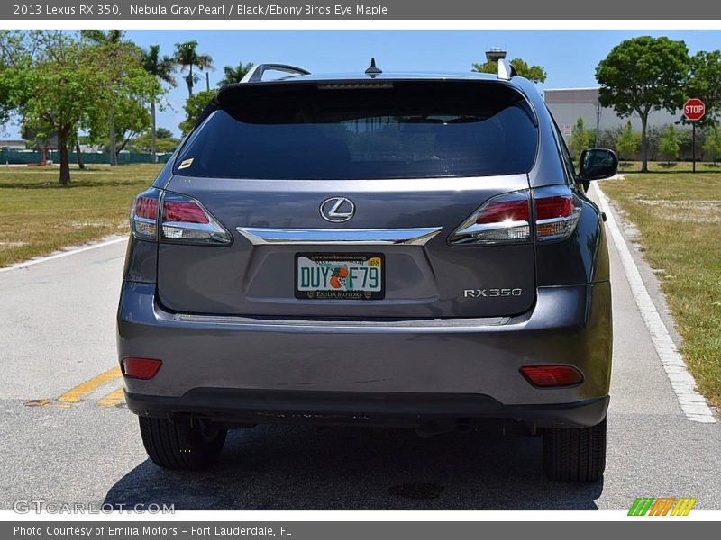 Nebula Gray Pearl / Black/Ebony Birds Eye Maple 2013 Lexus RX 350