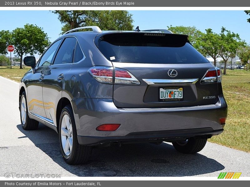 Nebula Gray Pearl / Black/Ebony Birds Eye Maple 2013 Lexus RX 350