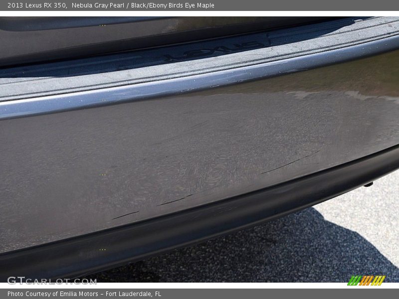 Nebula Gray Pearl / Black/Ebony Birds Eye Maple 2013 Lexus RX 350