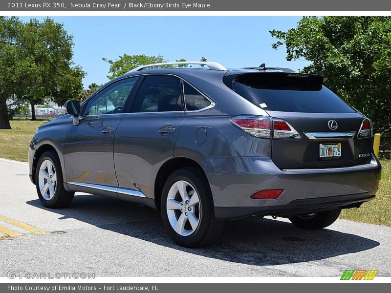 Nebula Gray Pearl / Black/Ebony Birds Eye Maple 2013 Lexus RX 350