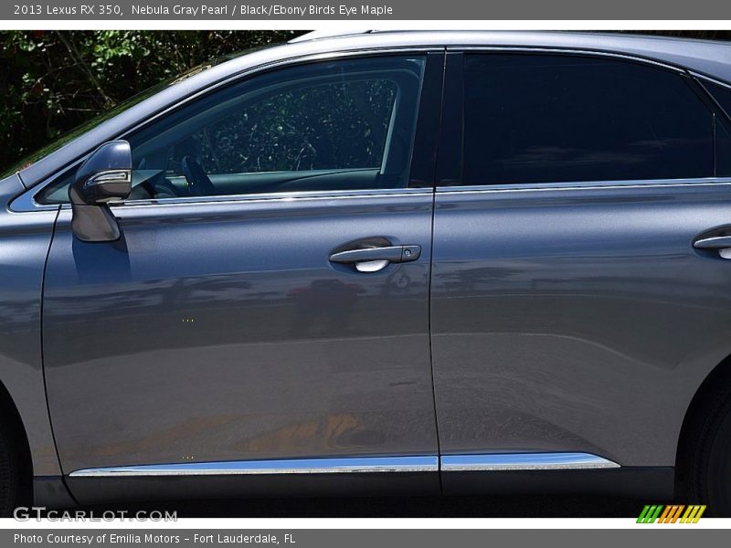 Nebula Gray Pearl / Black/Ebony Birds Eye Maple 2013 Lexus RX 350
