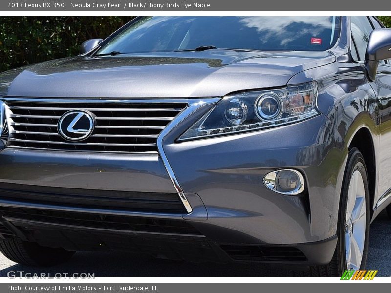 Nebula Gray Pearl / Black/Ebony Birds Eye Maple 2013 Lexus RX 350