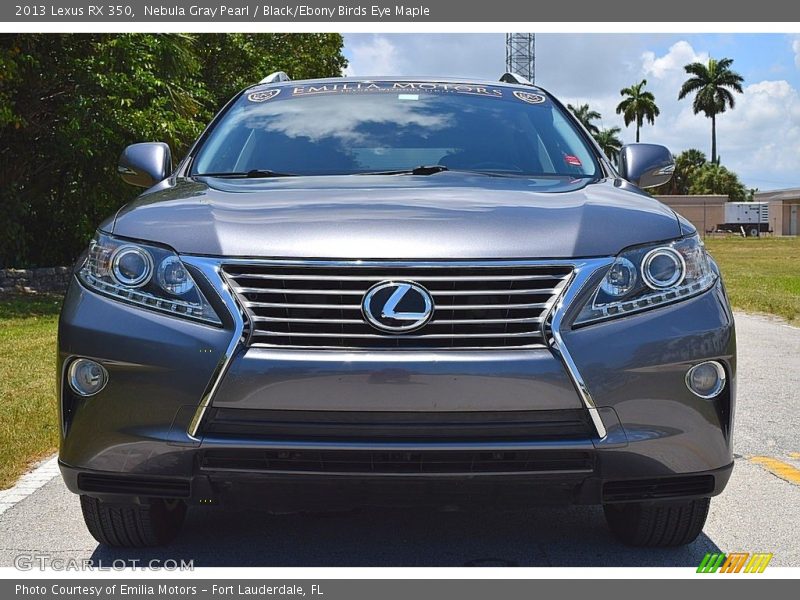  2013 RX 350 Nebula Gray Pearl