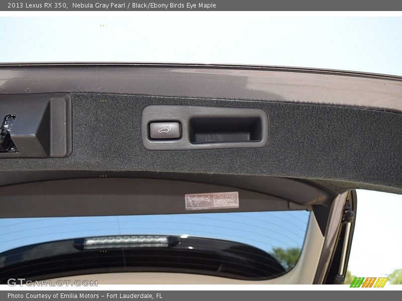  2013 RX 350 Trunk