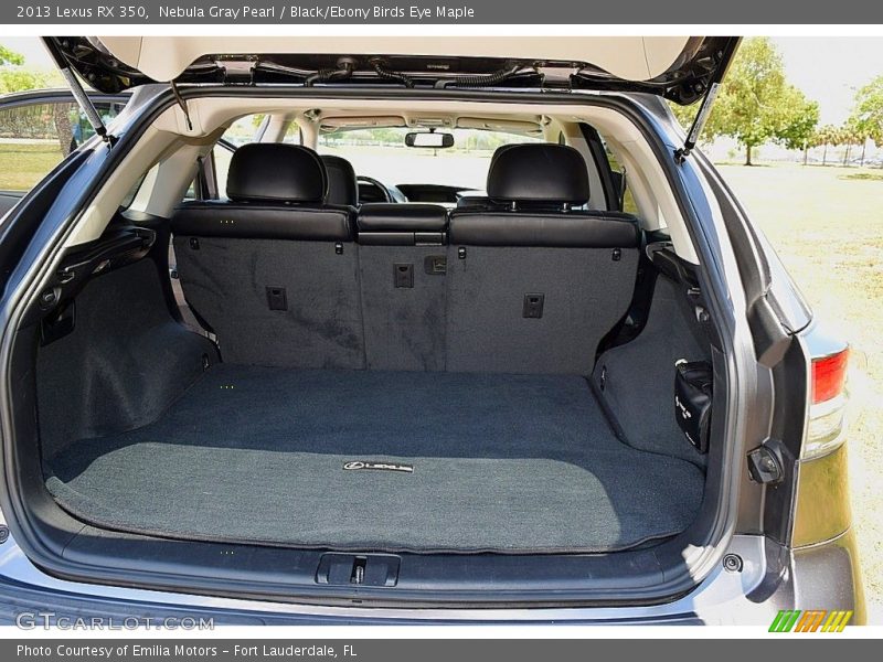  2013 RX 350 Trunk