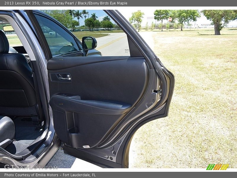 Door Panel of 2013 RX 350