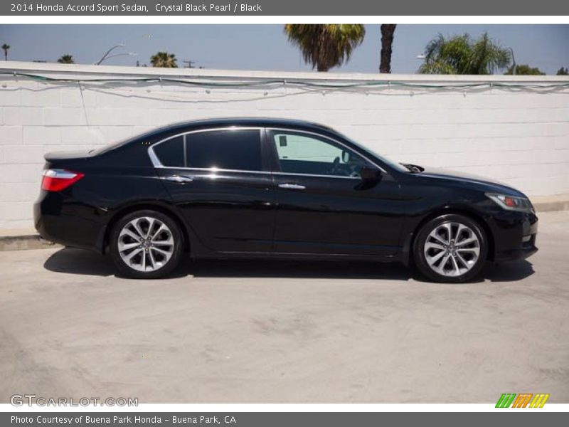 Crystal Black Pearl / Black 2014 Honda Accord Sport Sedan