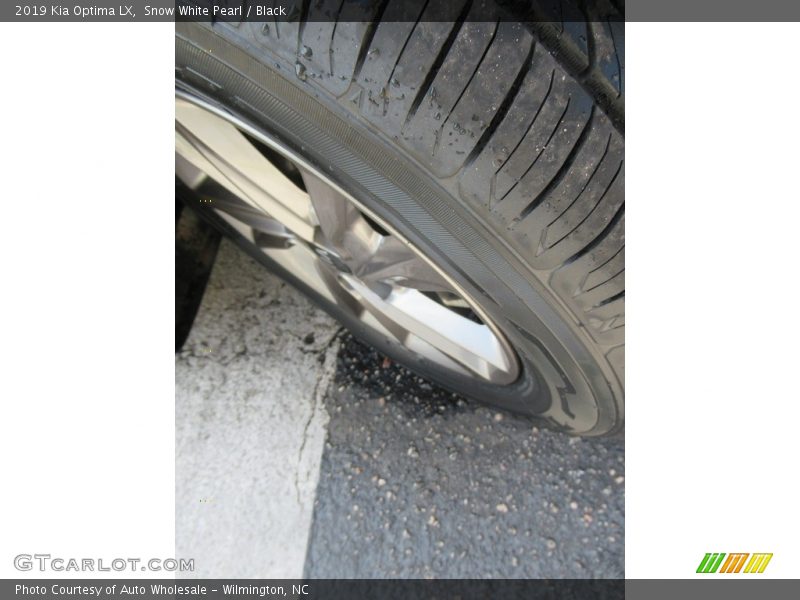 Snow White Pearl / Black 2019 Kia Optima LX