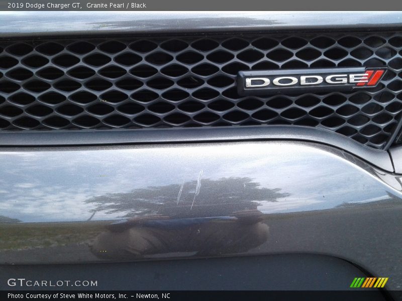 Granite Pearl / Black 2019 Dodge Charger GT