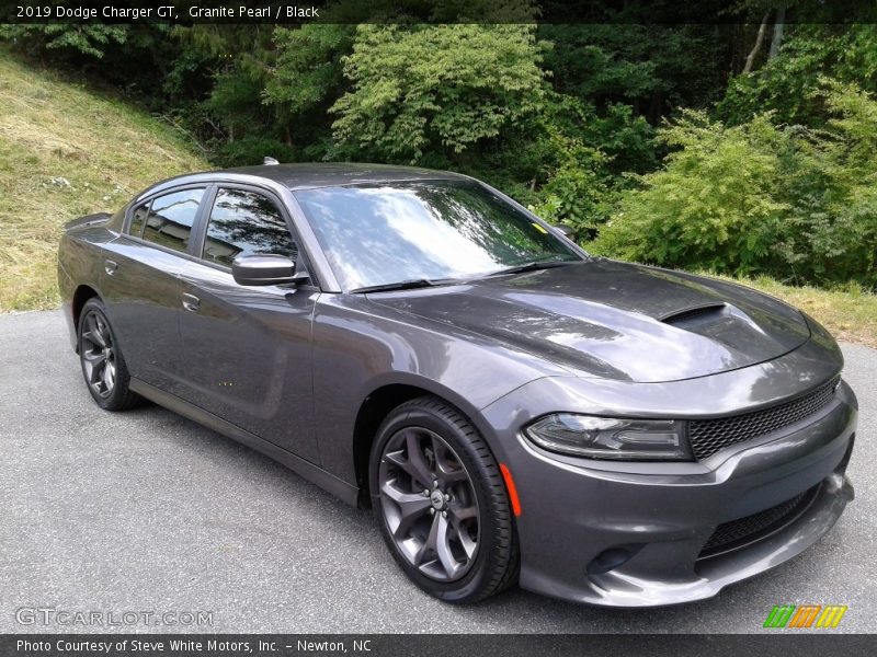 Granite Pearl / Black 2019 Dodge Charger GT