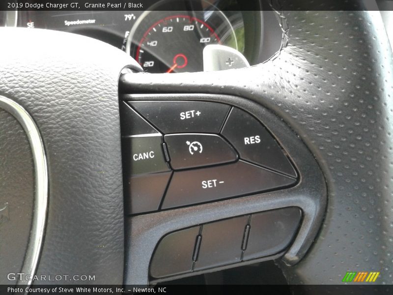 Granite Pearl / Black 2019 Dodge Charger GT