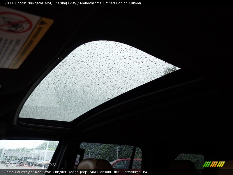 Sterling Gray / Monochrome Limited Edition Canyon 2014 Lincoln Navigator 4x4