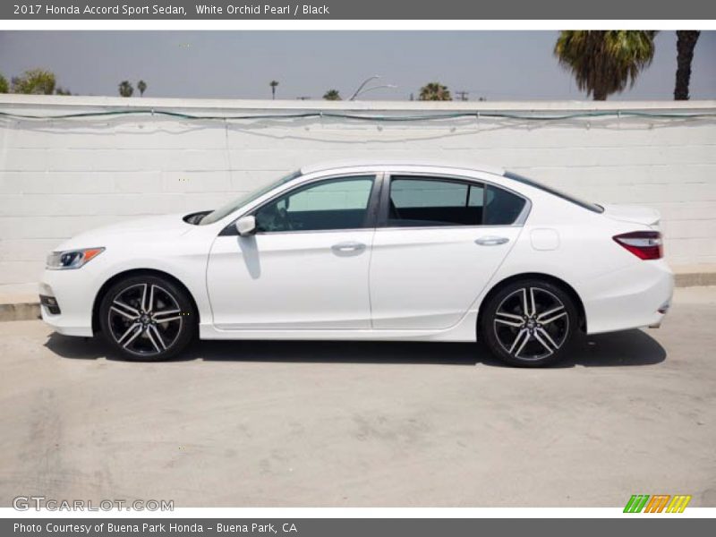 White Orchid Pearl / Black 2017 Honda Accord Sport Sedan