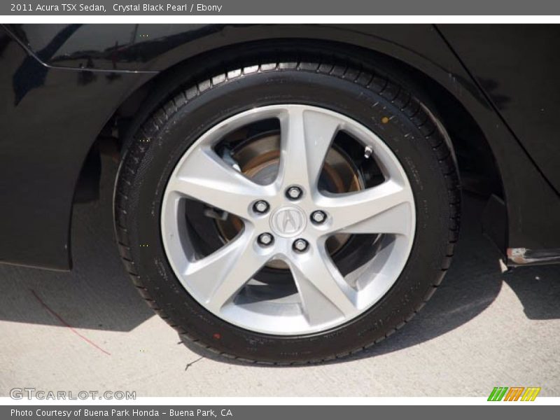 Crystal Black Pearl / Ebony 2011 Acura TSX Sedan
